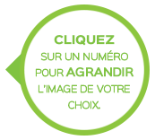 Cliquer sur un numéro pour agrandir l'image de votre choix.